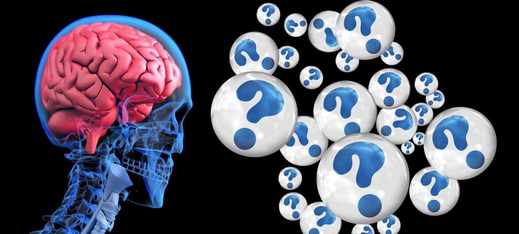 Curious brain