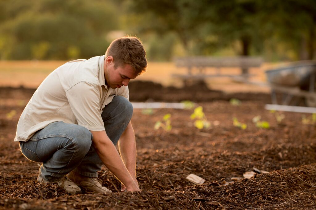 Farmer working in a field
